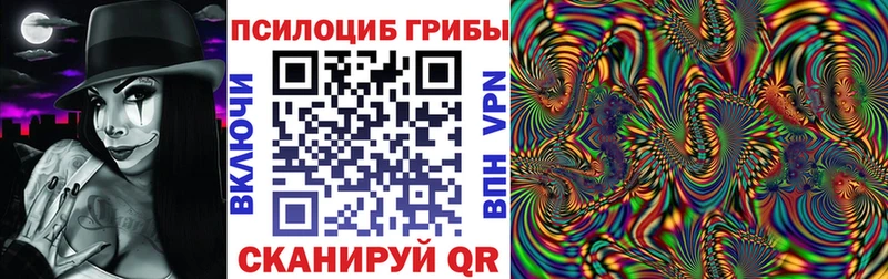 Галлюциногенные грибы Cubensis  где найти   Кириши 