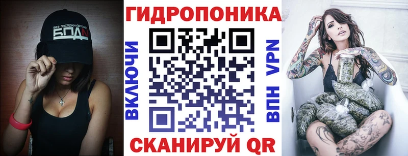 Конопля гибрид Кириши